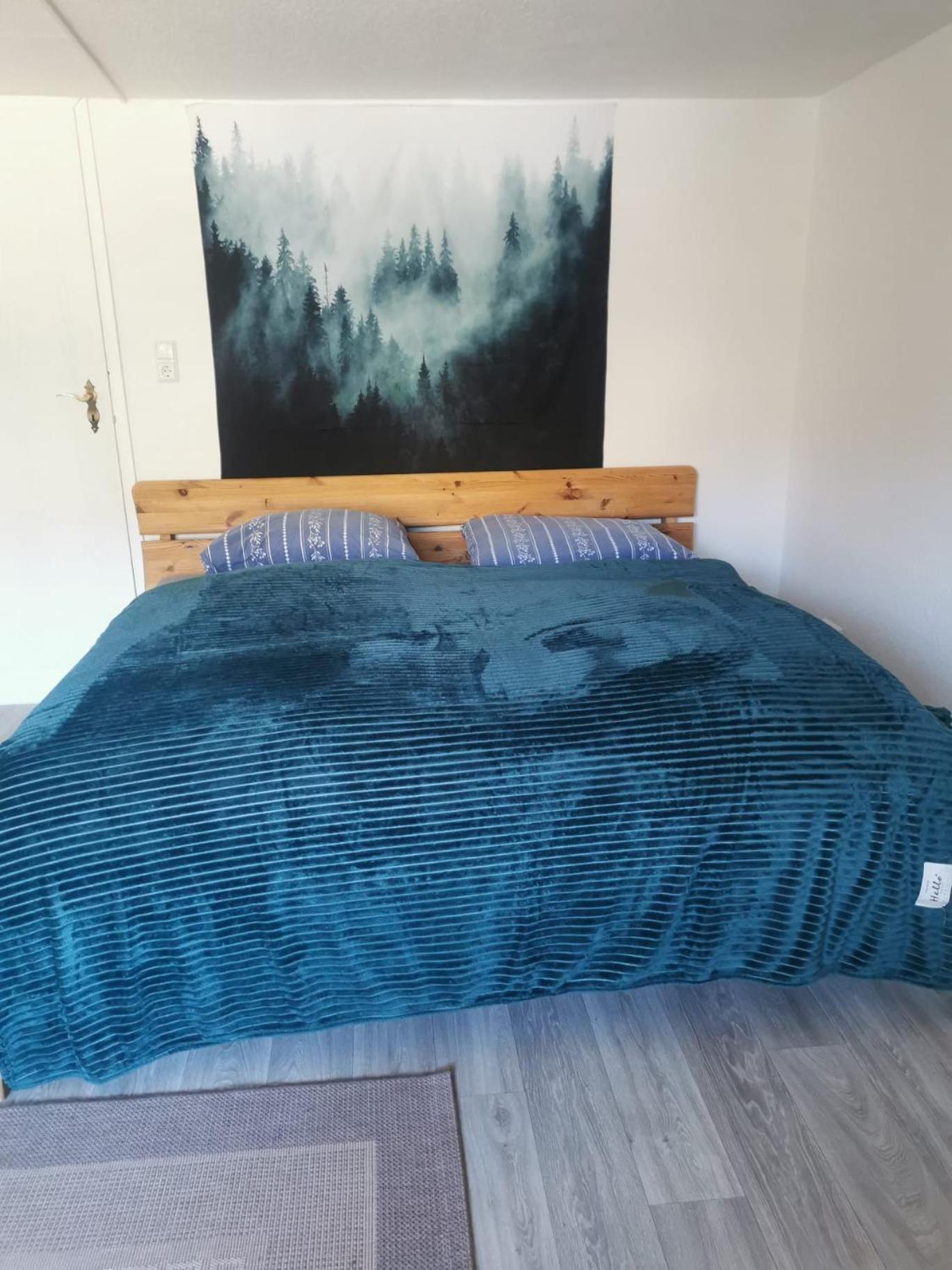 Guenstige, Moderne Zimmer Im Wanderparadies 韦尼格罗德 外观 照片